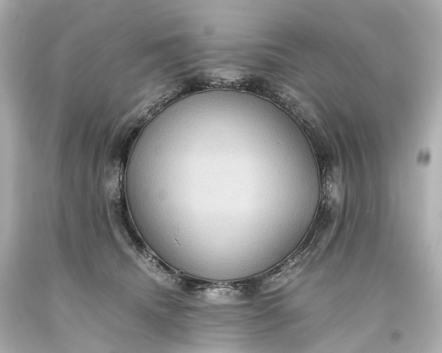 X0000093610468200710291209