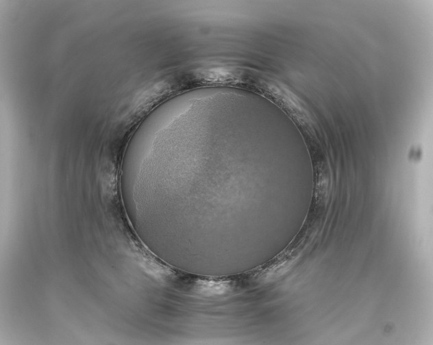 X0000093610469200710291209