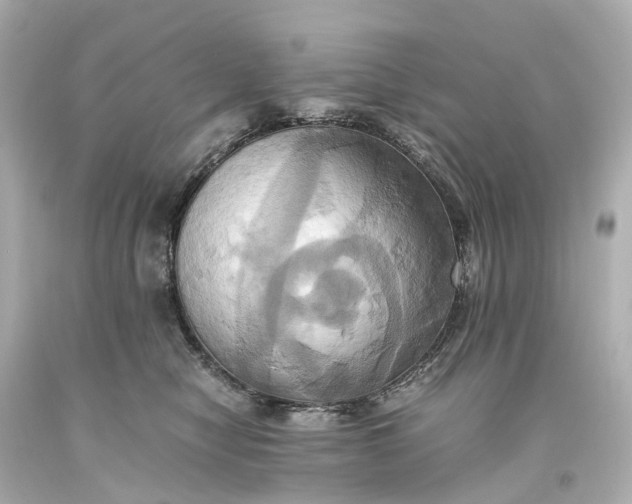 X0000093610470200710291209
