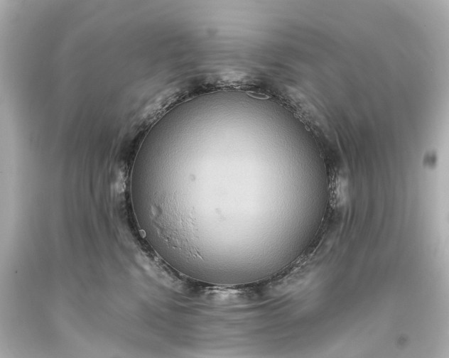 X0000093610472200710291209