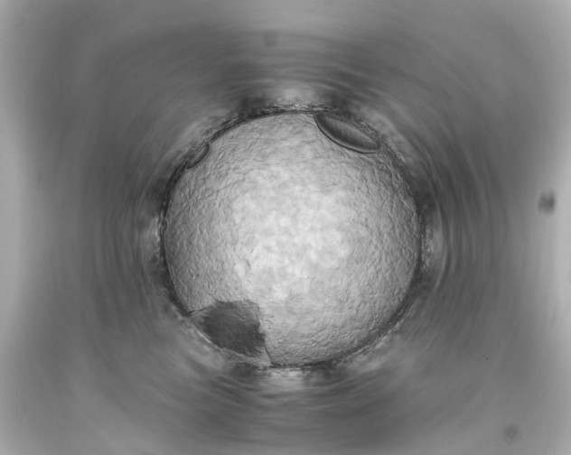 X0000093610473200710291209