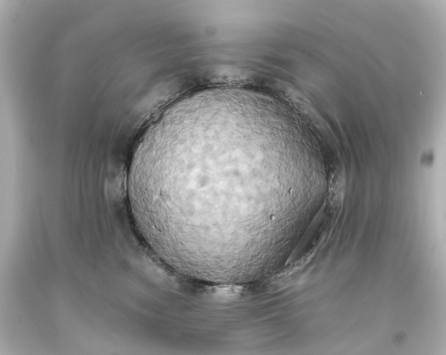 X0000093610474200710291209