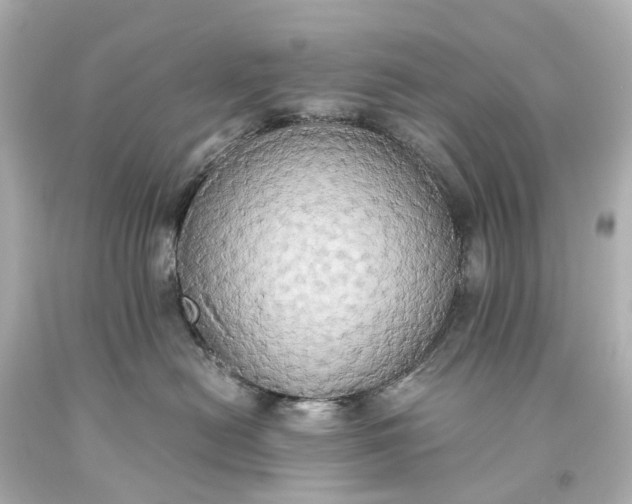 X0000093610478200710291209
