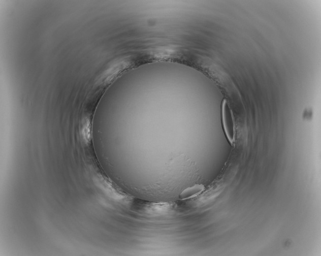 X0000093610479200710291209