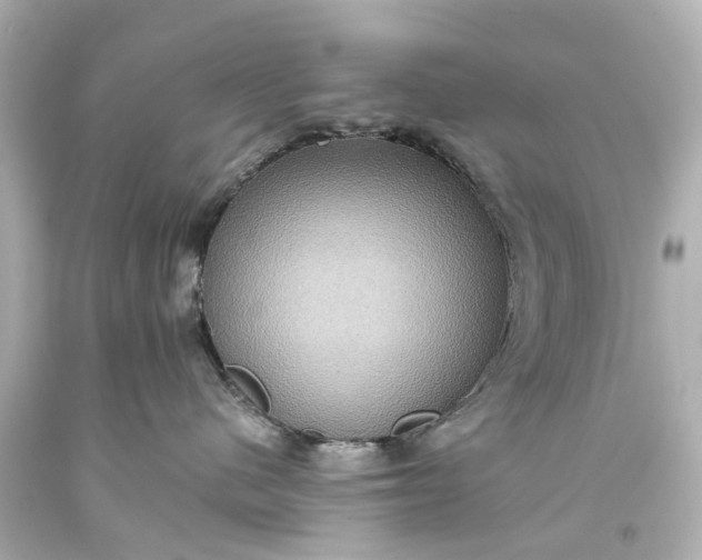 X0000093610480200710291209