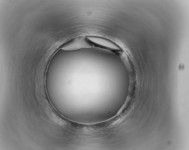X0000093610481200710291209
