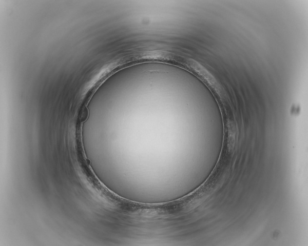 X0000093610482200710291209
