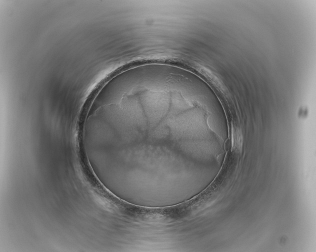 X0000093610483200710291209