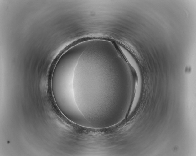 X0000093610484200710291209