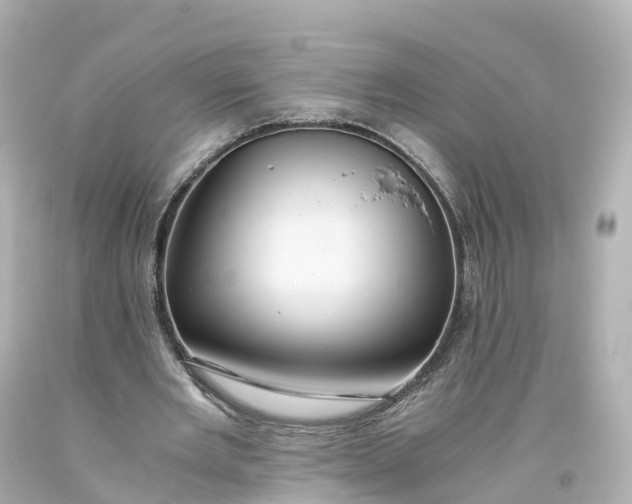 X0000093610485200710291209