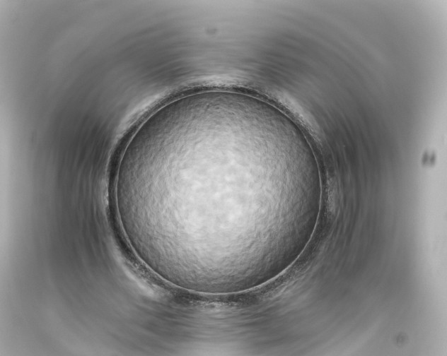 X0000093610486200710291209