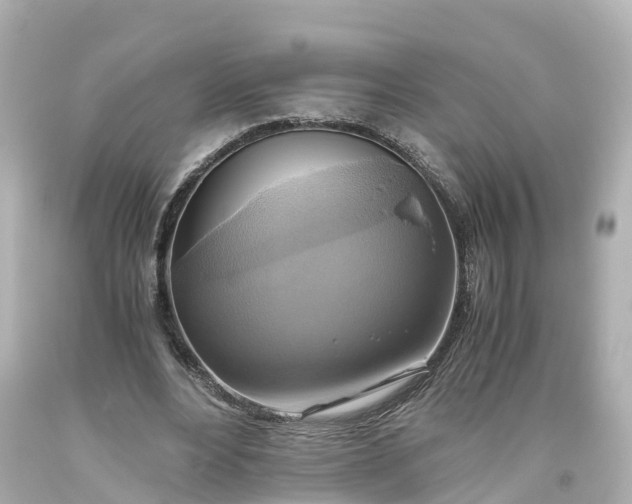 X0000093610488200710291209