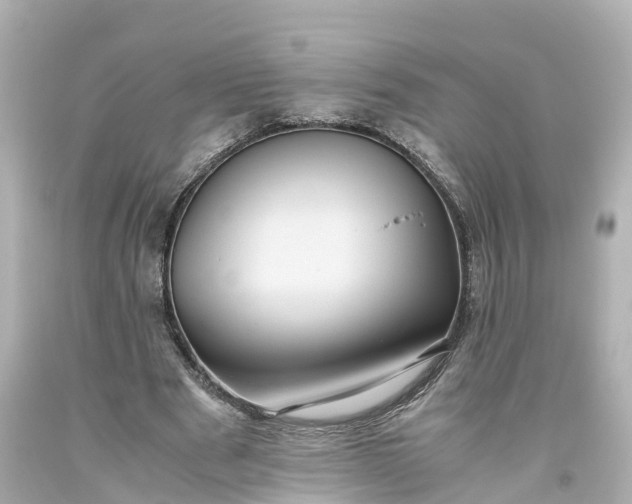 X0000093610489200710291209