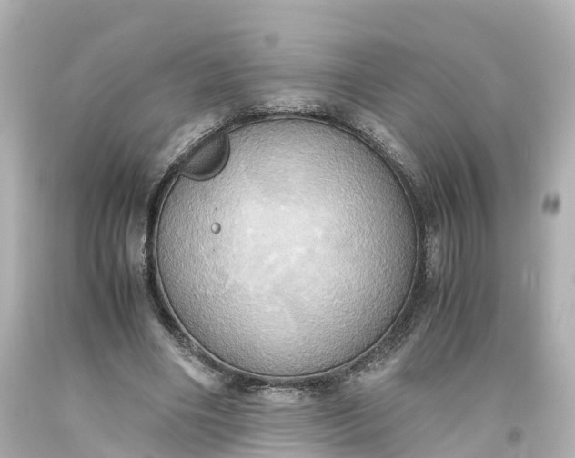 X0000093610490200710291209