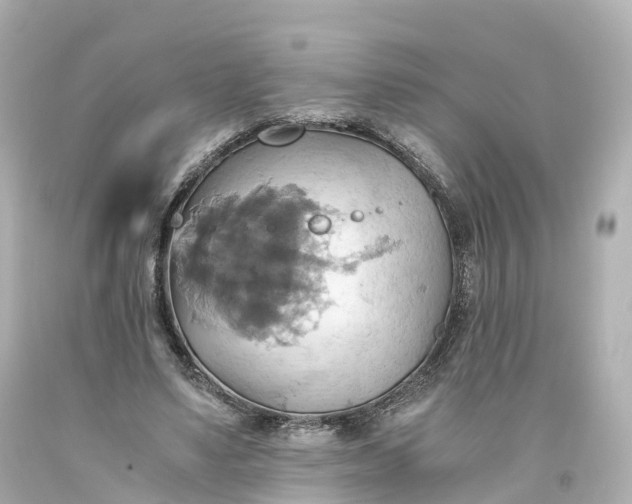 X0000093610491200710291209