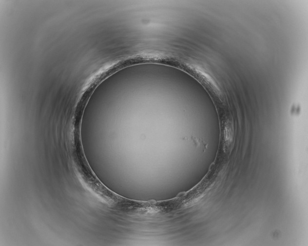X0000093610492200710291209
