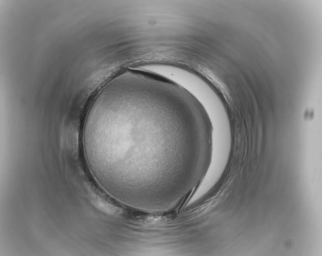 X0000093610493200710291209