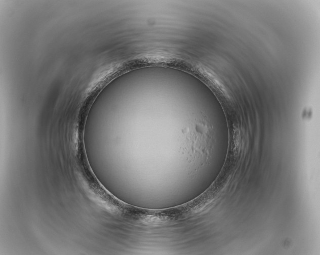 X0000093610494200710291209
