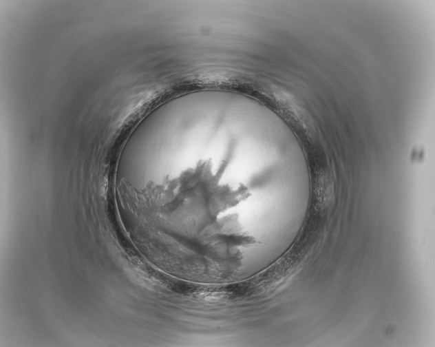 X0000093610495200710291209