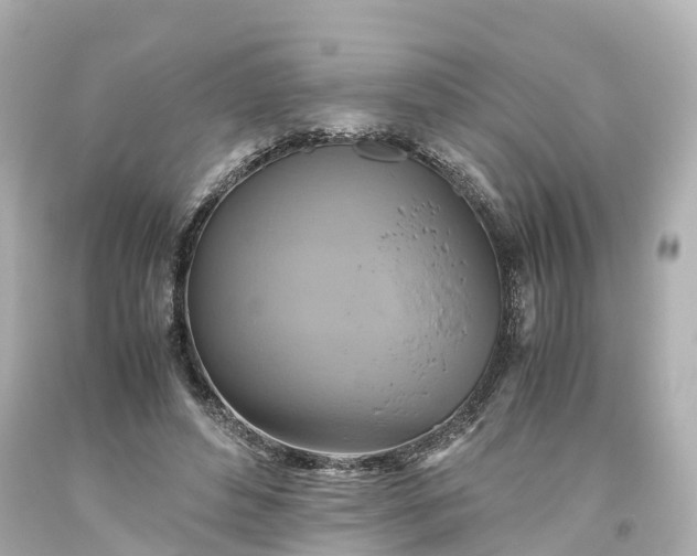 X0000093610496200710291209