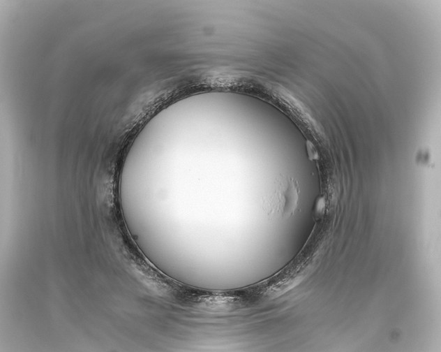 X0000093610497200710291209