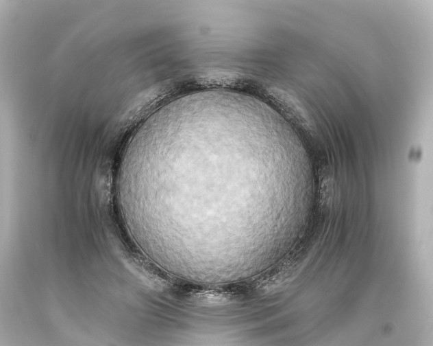 X0000093610498200710291209