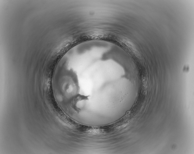 X0000093610499200710291209