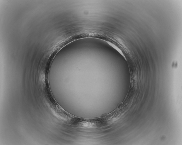 X0000093610500200710291209