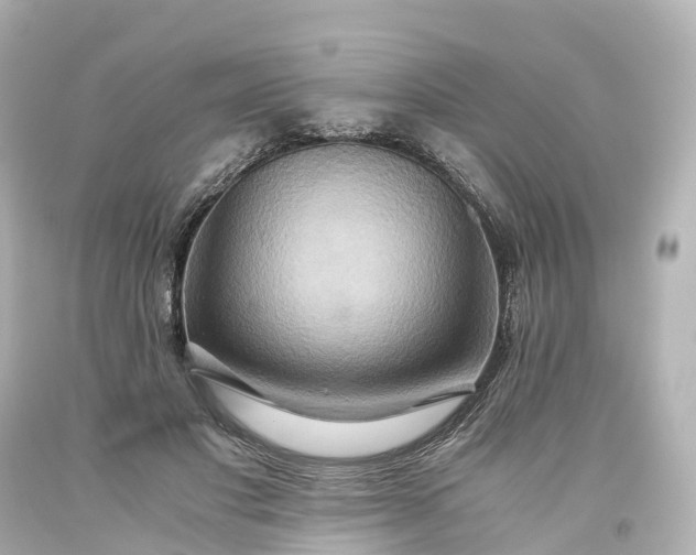 X0000093610501200710291209