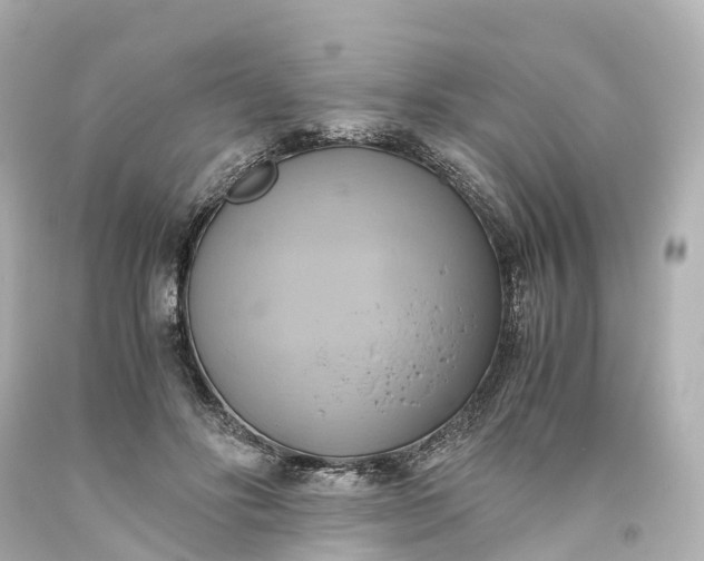 X0000093610502200710291208