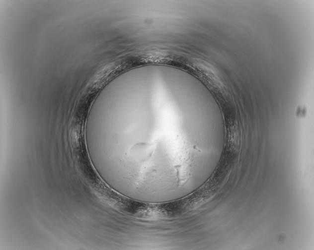 X0000093610503200710291208