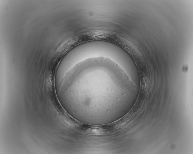 X0000093610506200710291208