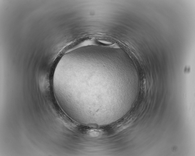X0000093610508200710291208