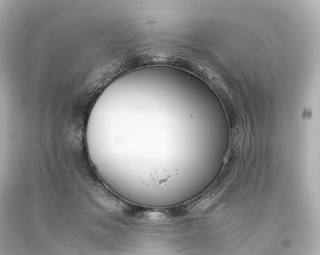 X0000093610509200710291208