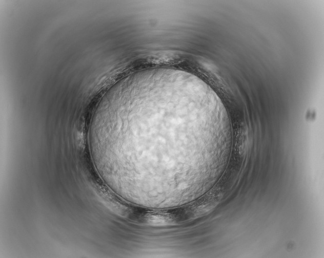 X0000093610510200710291208