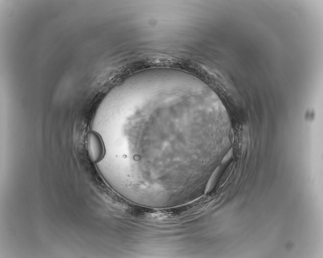 X0000093610511200710291208