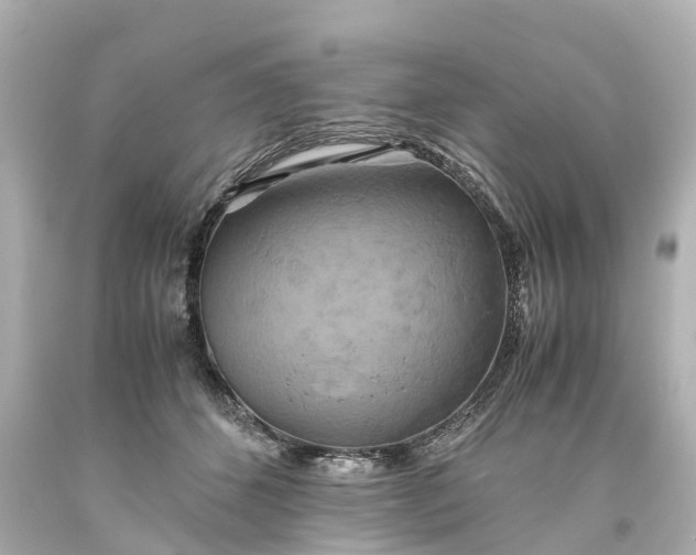 X0000093610512200710291208