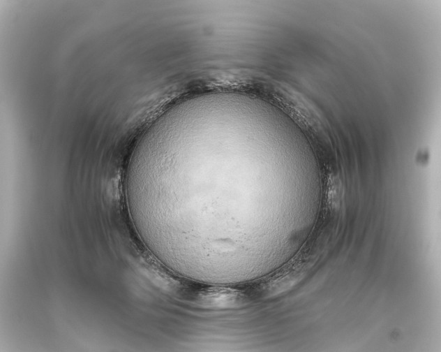 X0000093610514200710291208