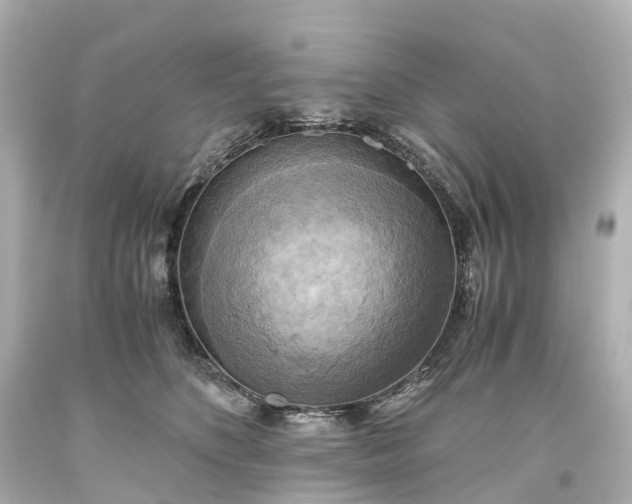 X0000093610516200710291208