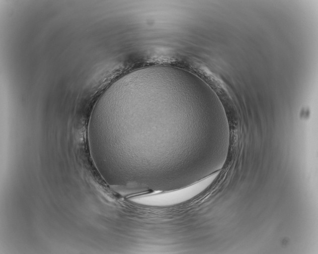 X0000093610517200710291208