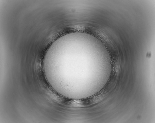 X0000093610518200710291208