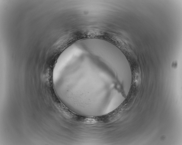 X0000093610519200710291208