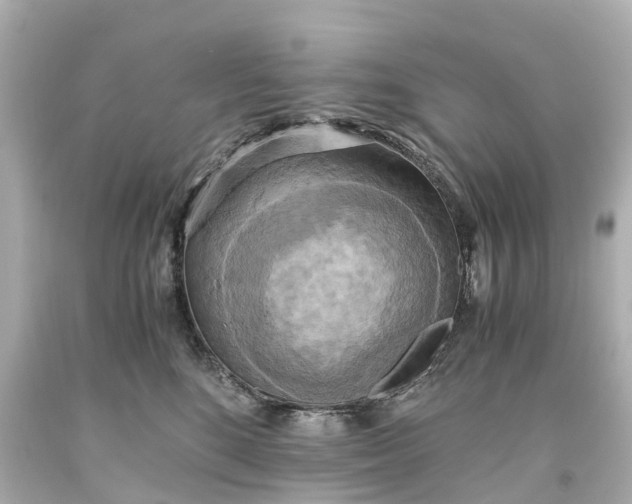 X0000093610520200710291208