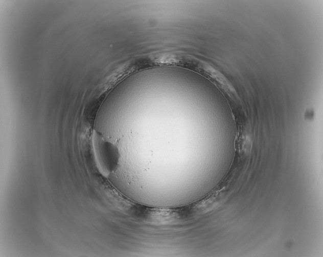 X0000093610521200710291208