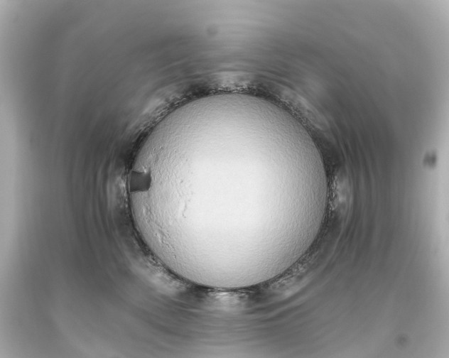 X0000093610522200710291208
