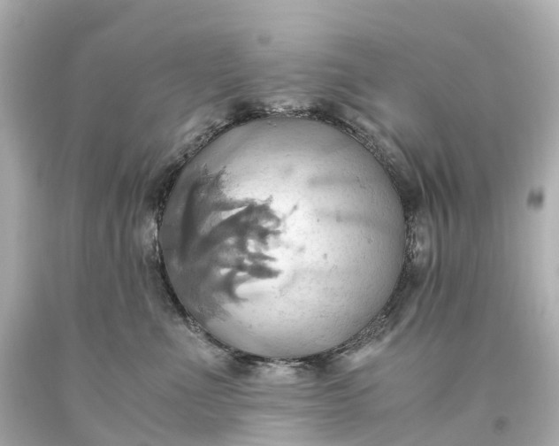 X0000093610523200710291208