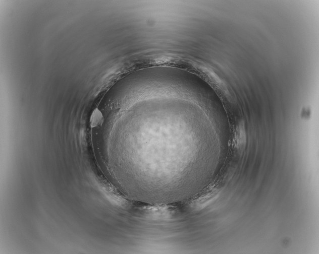 X0000093610524200710291208