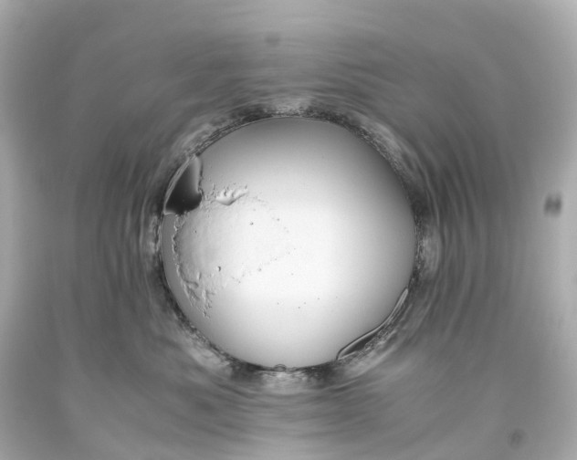 X0000093610525200710291208