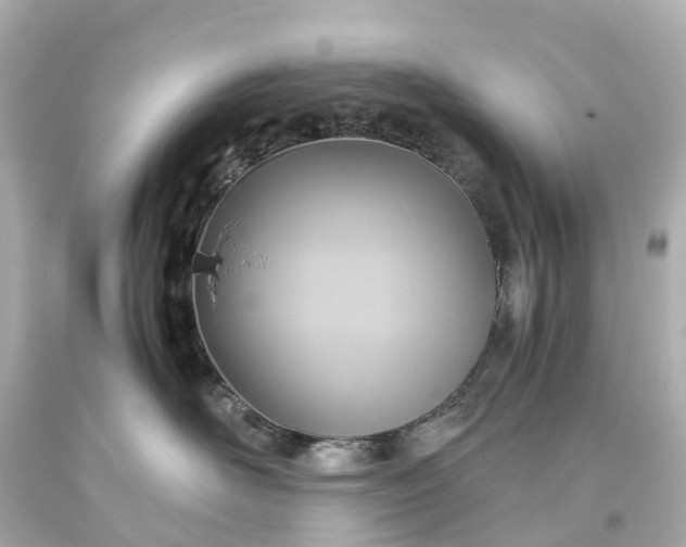 X0000093610526200710291208