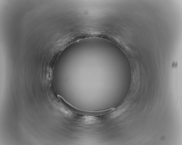 X0000093610528200710291208